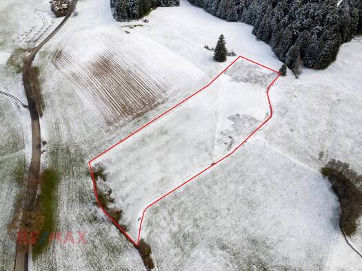 Land-/Forstwirtschaft zum Kauf 22.683 m² Grundstück Möggers 6912