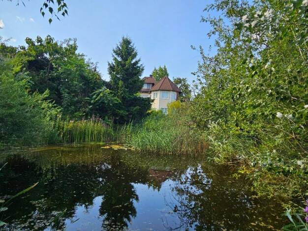 Villa zum Kauf 1.500.000 € 7 Zimmer 500 m² 4.600 m² Grundstück Enzesfeld-Lindabrunn 2551