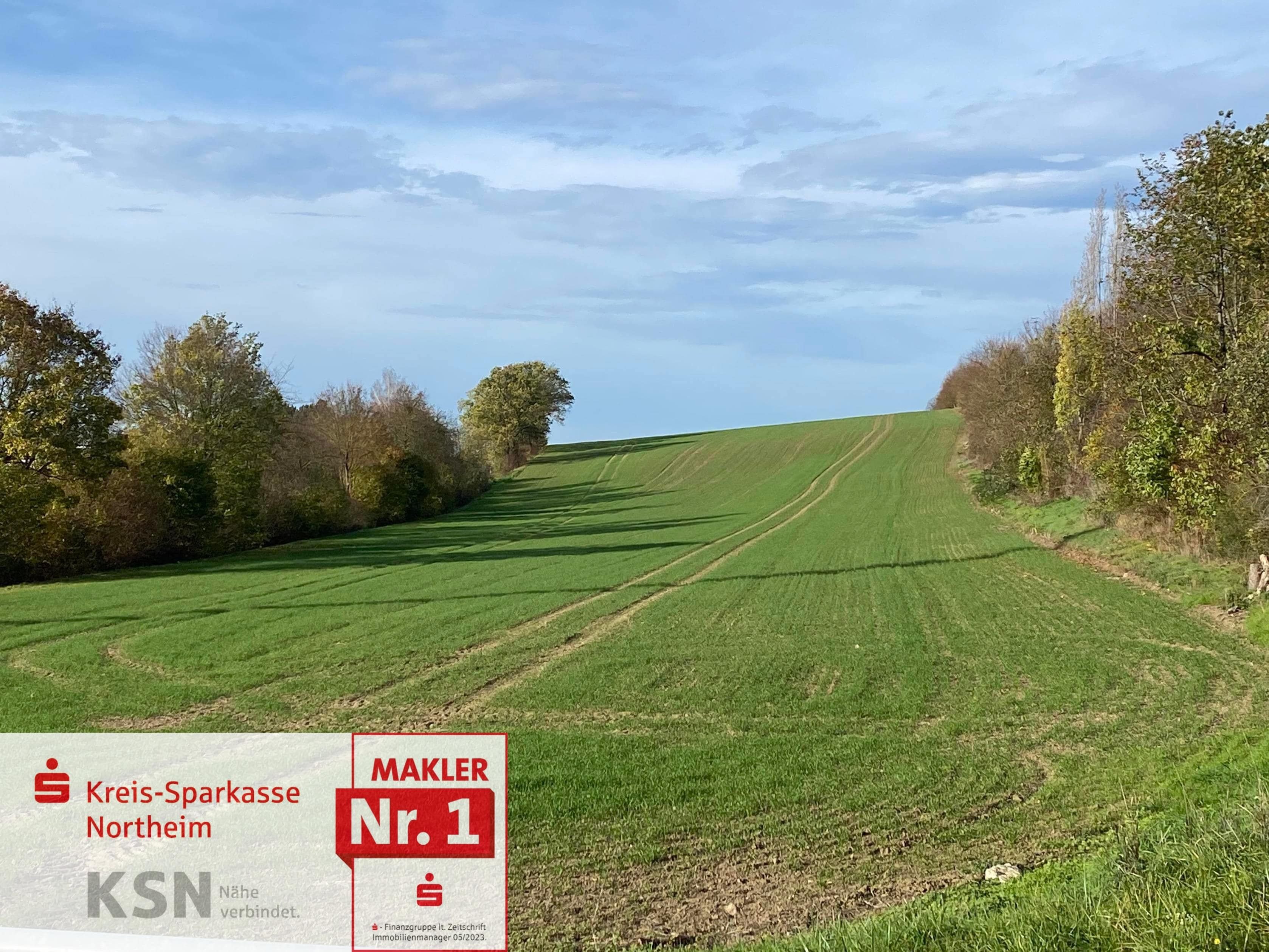 Land-/Forstwirtschaft zum Kauf 299.178 € 16.621 m²<br/>Grundstück Northeim Northeim 37154