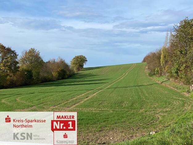 Land-/Forstwirtschaft zum Kauf 299.178 € 16.621 m² Grundstück Northeim 37154