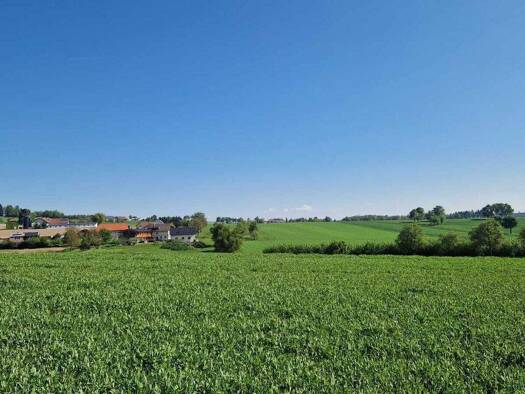 Grundstück zum Kauf 705 m² Grundstück Pollham 4710