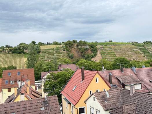 Sonstiges zum Kauf als Kapitalanlage geeignet 595.000 € 13 Zimmer 277,7 m² 264 m² Grundstück Am Klosterhof 23 Münster Münster 70376