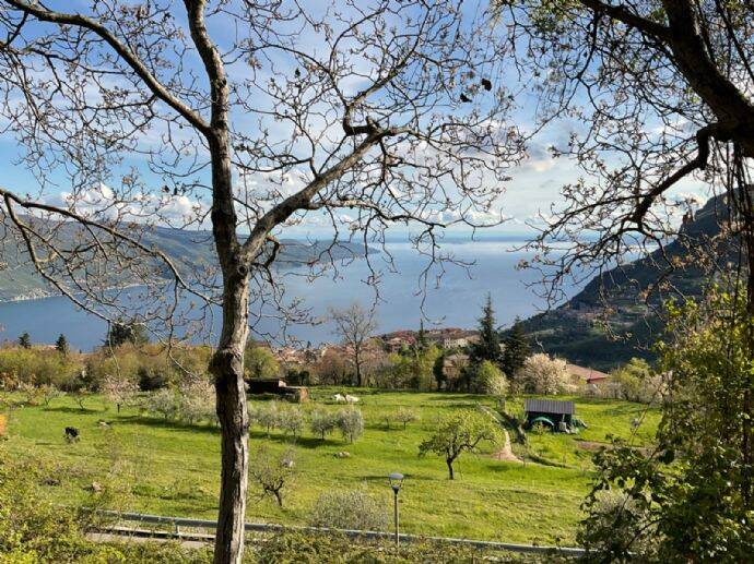 Property thumbnail 10