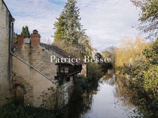 Reihenmittelhaus zum Kauf 335.000 € 7 Zimmer 300 m² 917 m² Grundstück Châtre 36400