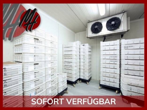 Lagerhalle zur Miete 1.200 m² Lagerfläche Hanau 63450