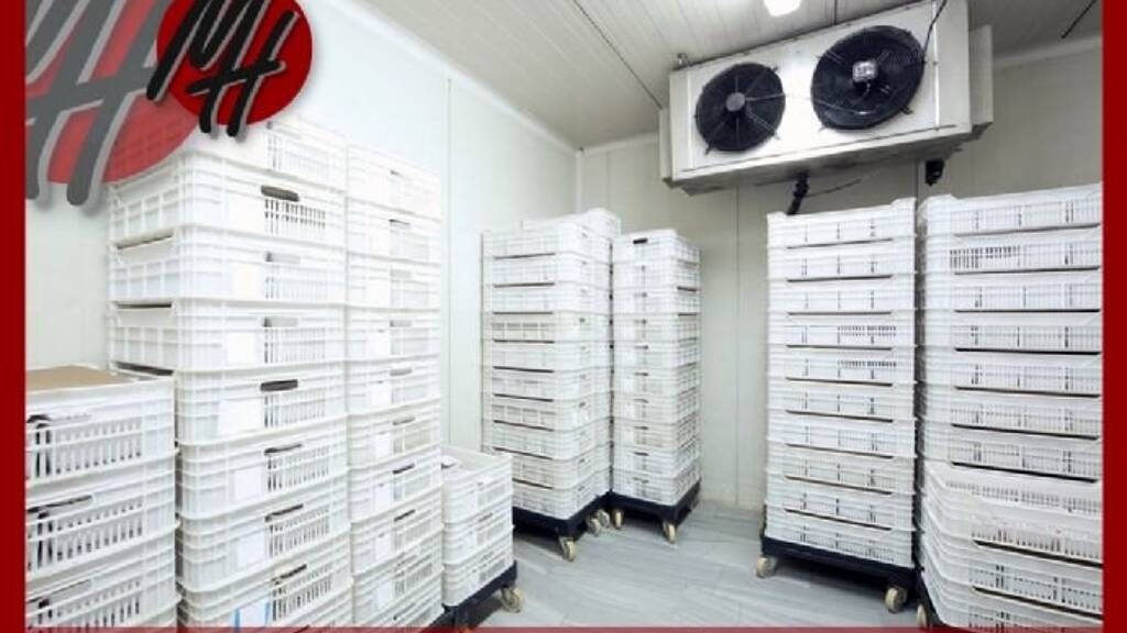 Lagerhalle zur Miete 1.200 m² Lagerfläche Hanau 63450