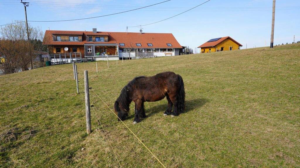 Bauernhaus zum Kauf 789.000 € 10 Zimmer 290 m² 550 m² Grundstück Maierhöfen 88167