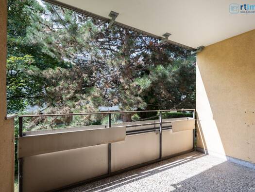 Wohnung zum Kauf 248.000 € 3 Zimmer 84,5 m² 1. Geschoss Rebschulgasse Langenzersdorf 2103