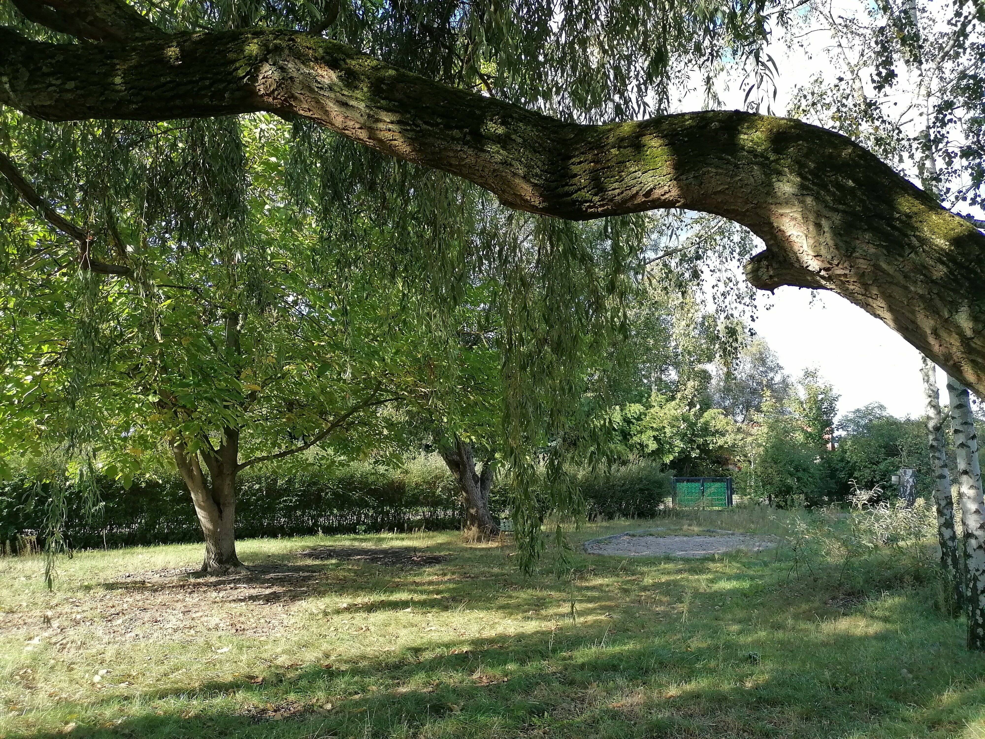 Property thumbnail 3