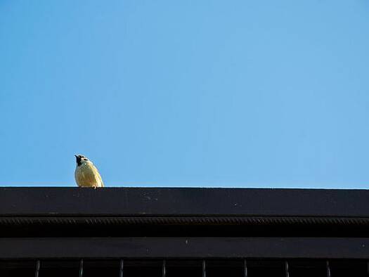 Haus zum Kauf 950.000 € 1 Zimmer 573 m² 903 m² Grundstück Kyiv 02000