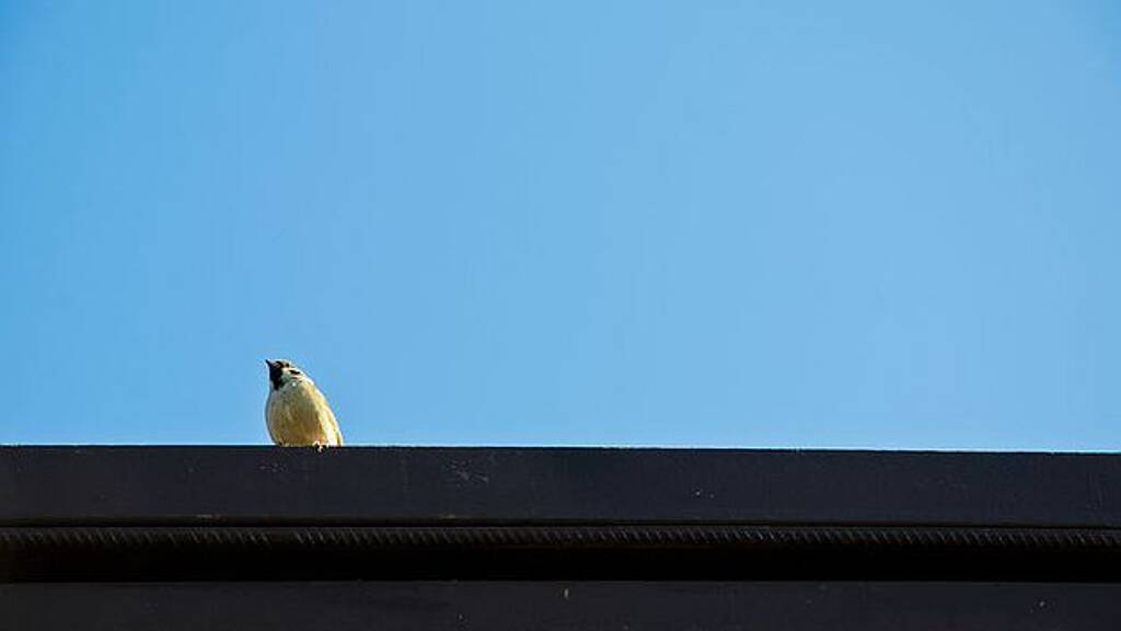 Haus zum Kauf 950.000 € 1 Zimmer 573 m² 903 m² Grundstück Kyiv 02000