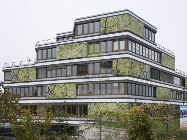 Bürofläche zur Miete provisionsfrei 11,50 € 13 Zimmer 704,2 m² Bürofläche Rohrbach Heidelberg 69126