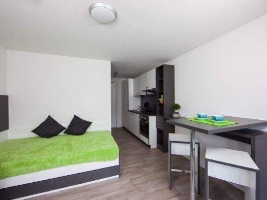 Wohnung zur Miete 461 € 1 Zimmer 21 m² 1. Geschoss Karl-Müller-Straße Biberach Biberach an der Riß 88400