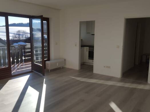 Wohnung zur Miete 500 € 1 Zimmer 51 m² Geschoss EG/3 frei ab sofort Niedergebisbach Herrischried 79737
