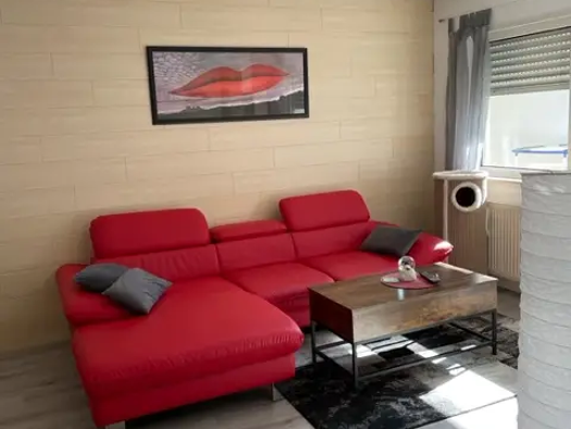 Maisonette zur Miete 450 € 1 Zimmer 52 m² frei ab sofort Im Kurzen Winkel 3 Mundenheim Ludwigshafen am Rhein 67065