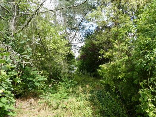 Grundstück zum Kauf 295.000 € 877 m² Grundstück Fredersdorf-Süd Fredersdorf-Vogelsdorf 15370