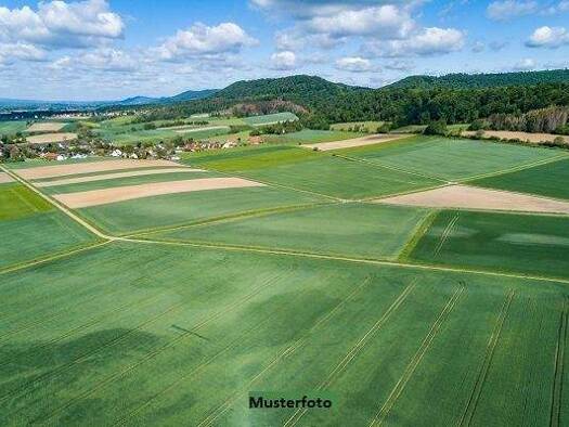 Land-/Forstwirtschaft zum Kauf 3.503 € 1.208 m² Grundstück Kirchberg in Tirol 6365