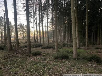 Land-/Forstwirtschaft zum Kauf 212.999 m² Grundstück Schulenberg Prinzhöfte 27243