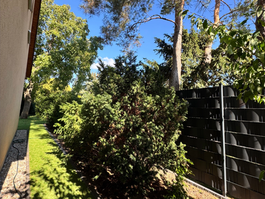 Einfamilienhaus zur Miete 2.950 € 5 Zimmer 109,8 m² 549 m² Grundstück frei ab sofort Biesdorf Berlin 12683