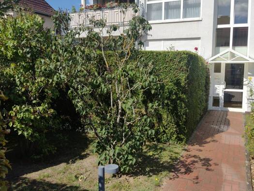 Terrassenwohnung zur Miete 1.900 € 4 Zimmer 110 m² Geschoss EG/3 frei ab sofort Märkisches Viertel Berlin 13439