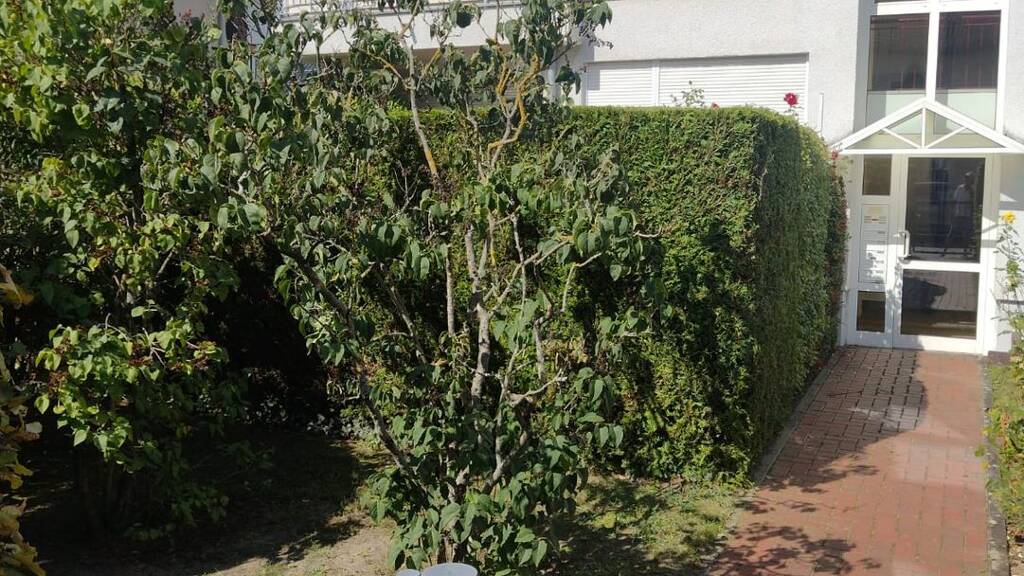 Terrassenwohnung zur Miete 1.900 € 4 Zimmer 110 m² Geschoss EG/3 frei ab sofort Märkisches Viertel Berlin 13439