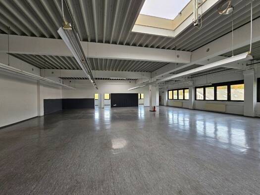 Produktionshalle zur Miete provisionsfrei 11.110 € 1.481,3 m² Lagerfläche Strietwald Aschaffenburg 63741