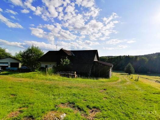 Bauernhaus zum Kauf 450.000 € 5 Zimmer 100 m² 32.000 m² Grundstück Weidhütte Hohenau 94545
