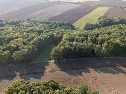 Grundstück zum Kauf 7.000 € 5.150 m² Grundstück Rudelsdorf Heideland OT Lindau 07613