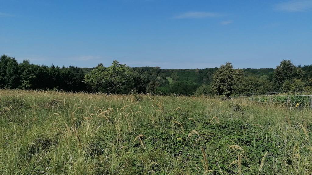 Grundstück zum Kauf provisionsfrei 18.000 € 15.469 m² Grundstück Zala Komitat