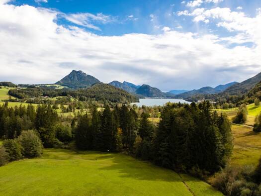 Villa zum Kauf 1.290.000 € 8,5 Zimmer 346 m² 2.022 m² Grundstück Hof bei Salzburg 5322