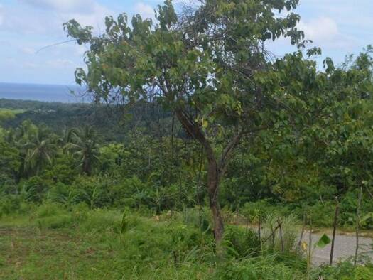 Grundstück zum Kauf 246.000 € 40.000 m² Grundstück Ferrol 5506