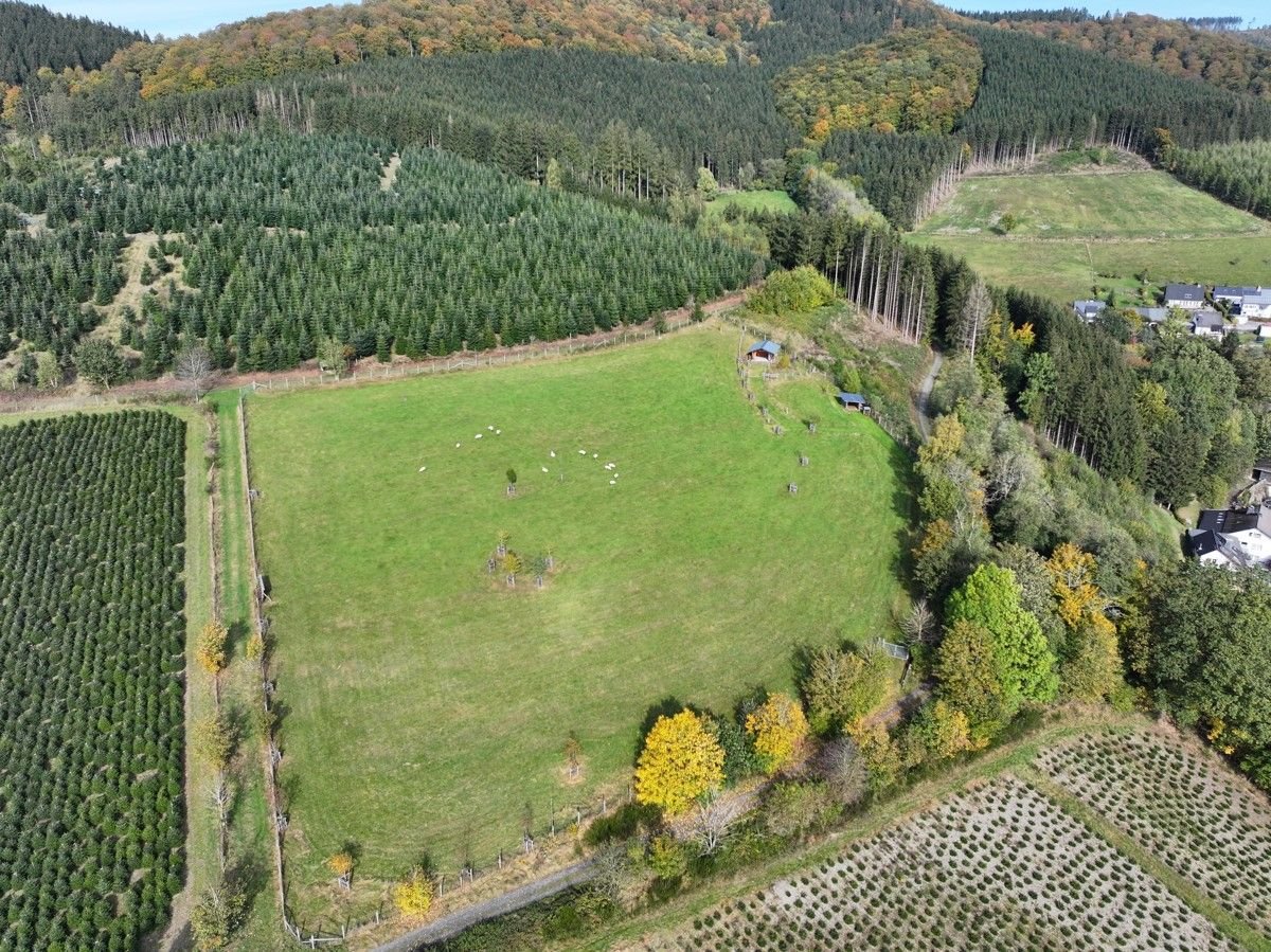 Land-/Forstwirtschaft zum Kauf 65.000 € 13.251 m²<br/>Grundstück Oberkirchen Schmallenberg 57392