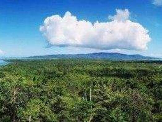 Einfamilienhaus zum Kauf 330.000 € 3 Zimmer 123 m² 50.000 m² Grundstück Maluku Utara 97771