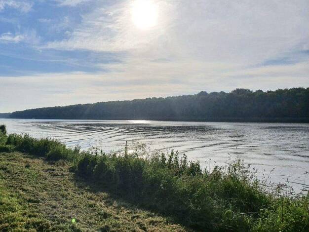 Doppelhaushälfte zum Kauf - Erstbezug 319.000 € 4 Zimmer 116 m² 500 m² Grundstück Averlak 25715