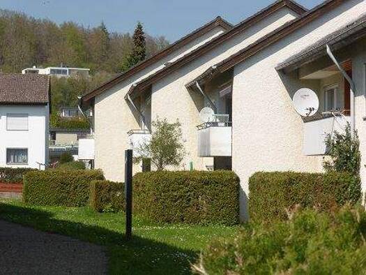 Wohnung zur Miete 380 € 2 Zimmer 40 m² frei ab 01.01.2026 Ebertstraße 26 Giengen Giengen an der Brenz 89537