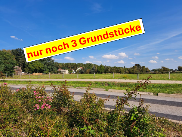 Grundstück zum Kauf 160.800 € 804 m²<br/>Grundstück Kagel Gründheide OT Kagel 15537