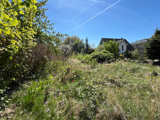 Grundstück zum Kauf 220.000 € 402 m² Grundstück Mahlsdorf Berlin 12623