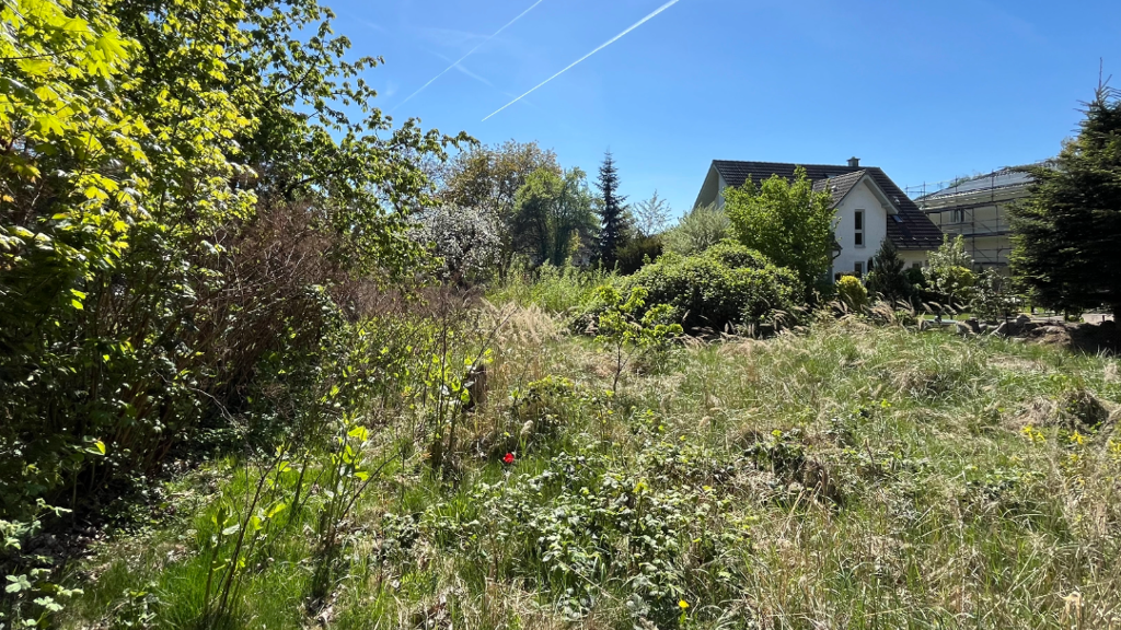 Grundstück zum Kauf 220.000 € 402 m² Grundstück Mahlsdorf Berlin 12623