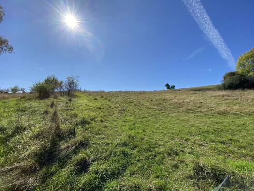 Einfamilienhaus zum Kauf 595.000 € 10 Zimmer 386 m² 800 m² Grundstück Mimbach Anschau-Mimbach 56729