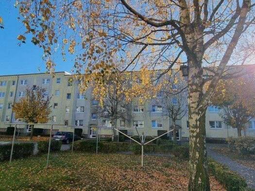 Wohnung zur Miete 345 € 2 Zimmer 42 m² frei ab sofort Am Volkskulturpark 25 Pasewalk 17309