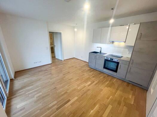 Wohnung zur Miete 821 € 3 Zimmer 49,4 m² 1. Geschoss Wien 1100
