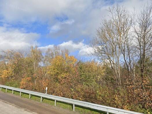 Land-/Forstwirtschaft zum Kauf 300 € 2.045 m² Grundstück Alte Römerstraße Udenhausen Boppard 56154