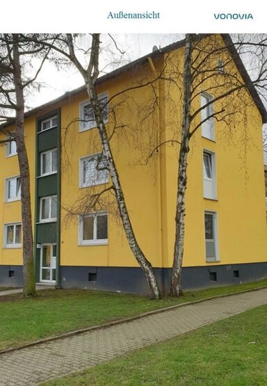 Wohnung zur Miete 495 € 3 Zimmer 51,1 m² frei ab 08.02.2025 Bonnekampstraße 39 Katernberg Essen 45327