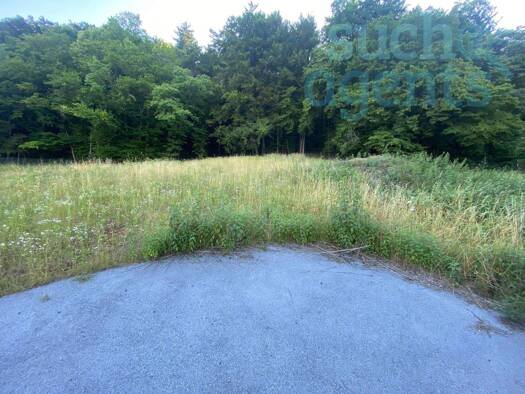 Grundstück zum Kauf 389.900 € 3.556 m² Grundstück Thal 8052