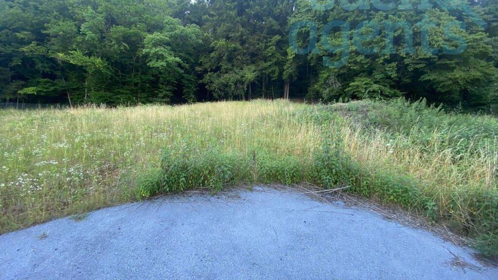 Grundstück zum Kauf 389.900 € 3.556 m² Grundstück Thal 8052