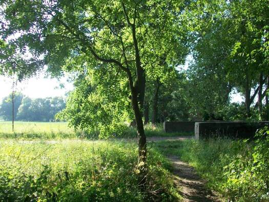 Grundstück zum Kauf 19.000 € 1.140 m² Grundstück frei ab sofort Görzig Südliches Anhalt 06369