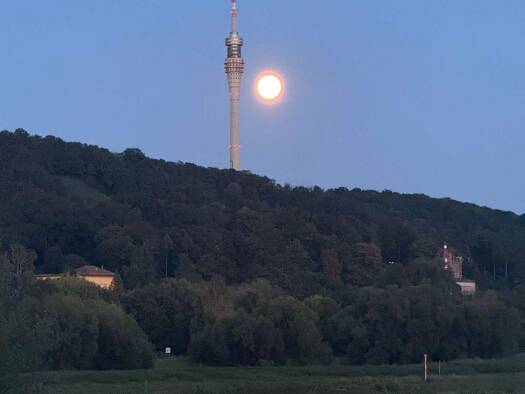 Wohnung zum Kauf 359.000 € 4 Zimmer 103,4 m² Blasewitz Dresden 01277