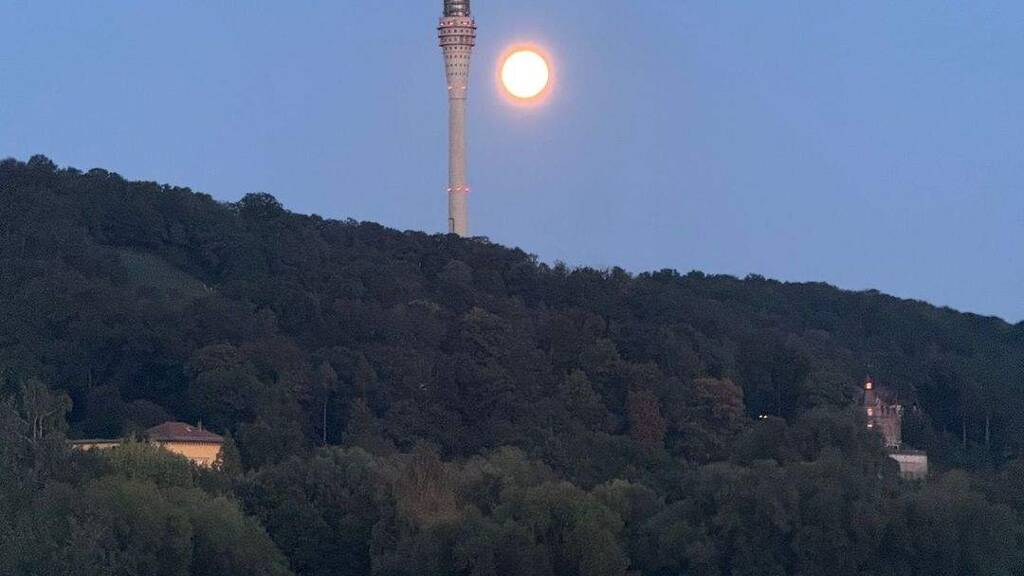 Wohnung zum Kauf 359.000 € 4 Zimmer 103,4 m² Blasewitz Dresden 01277