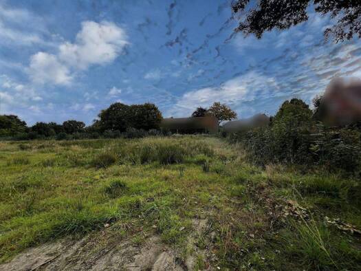 Bungalow zum Kauf 285.000 € 3 Zimmer 70 m² 332 m² Grundstück Westrhauderfehn Rhauderfehn 26817