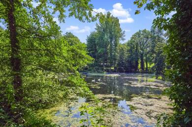 Einfamilienhaus zum Kauf - Neubau 8.495.000 € 11 Zimmer 440 m² 900 m² Grundstück Grunewald Berlin 14193